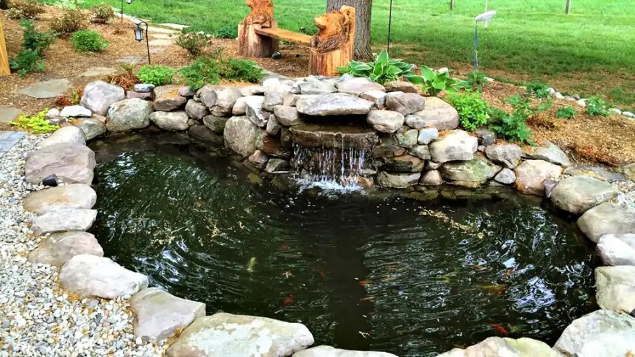 4 Ways to Care for Your Backyard Pond