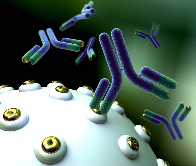 Monoclonal Antibody Therapeutics Market