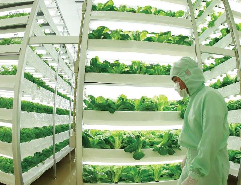 Global Indoor Farming Technology Market